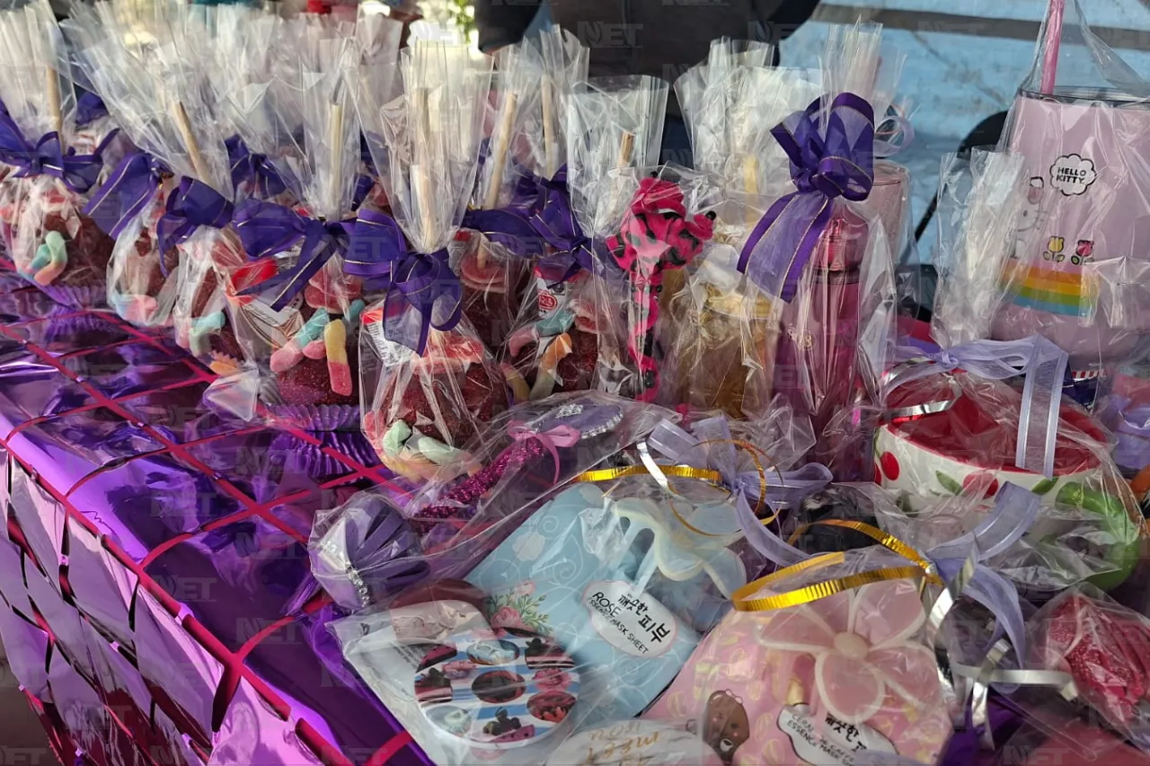 Ofrece Municipio apoyos de 20 mil pesos a madres emprendedoras