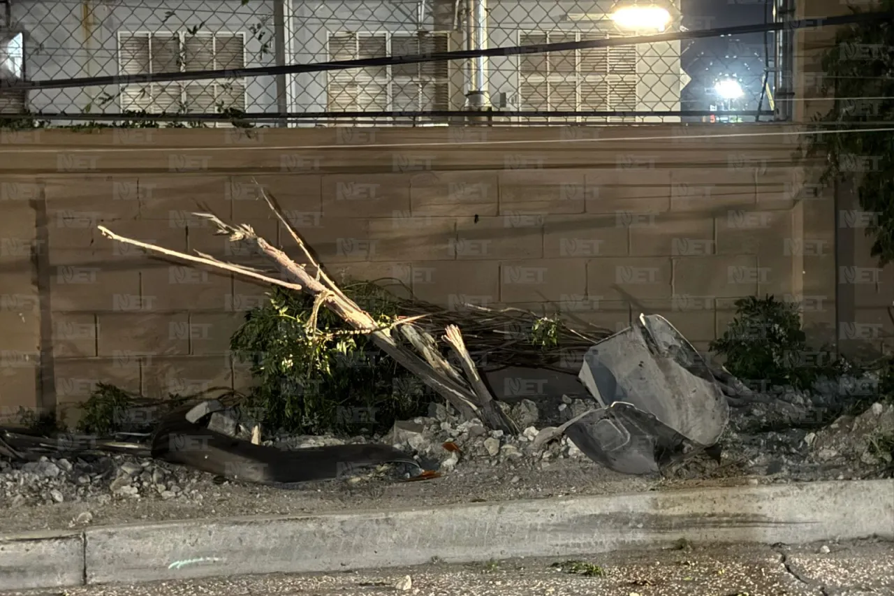 Derriba poste y 10 árboles en Praderas de los Oasis, luego huye