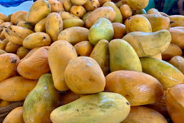 Rematan agricultores frutas y verduras de temporada en Ciudad Juárez