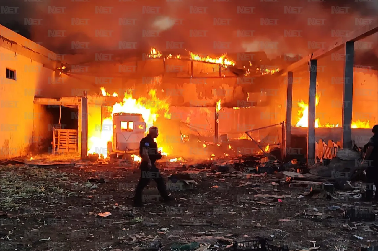 Murieron un toro y cuatro caballos en incendio de la colonia Santa Rosa