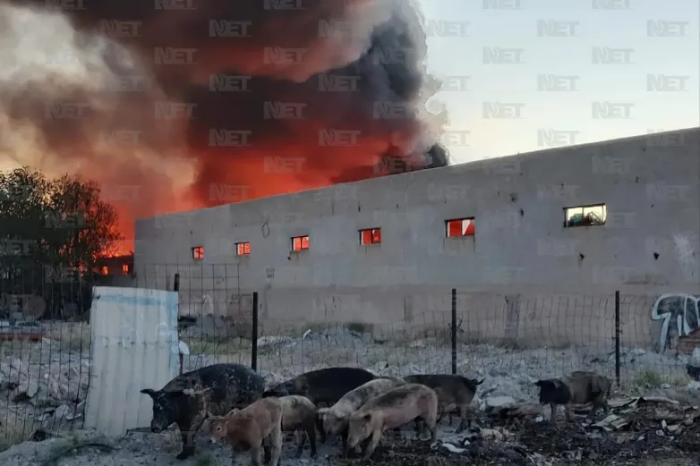 Revisarán situación jurídica de bodega incendiada en Santa Rosa