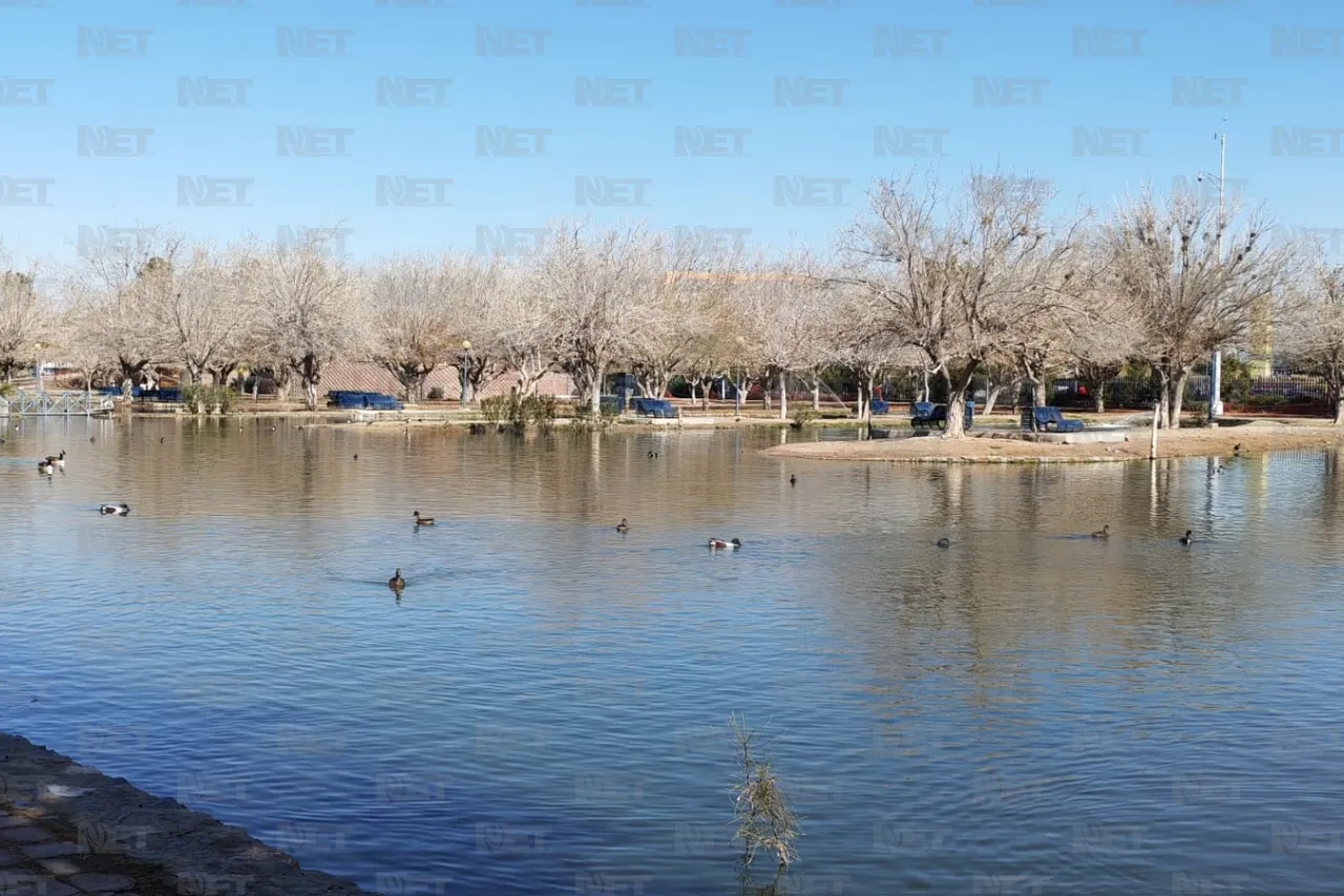 Definirán el 15 de abril amparo contra tienda Oxxo en el Parque Central