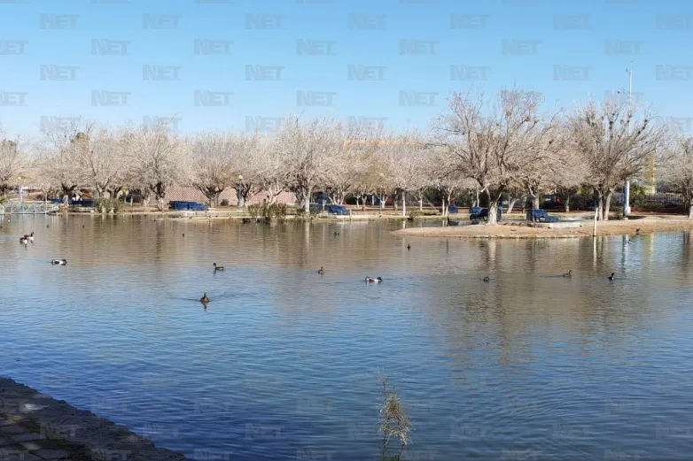 Definirán el 15 de abril amparo contra tienda Oxxo en el Parque Central