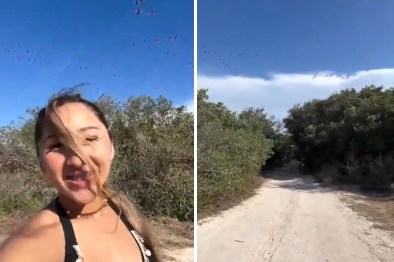 Critican a influencer por espantar flamencos en zona protegida en Yucatán
