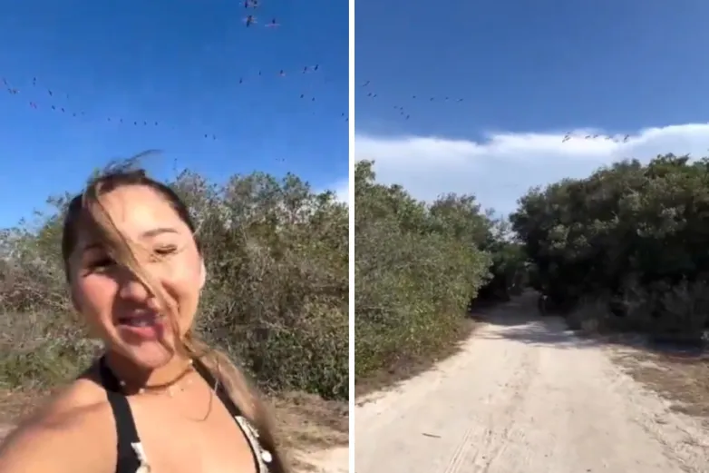 Critican a influencer por espantar flamencos en zona protegida en Yucatán