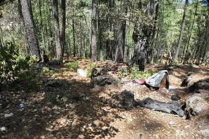 Desmantelan cinco narcocampamentos en Guadalupe y Calvo