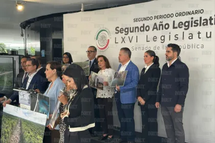 Advierten senadores riesgos en infraestructura del Tren Maya