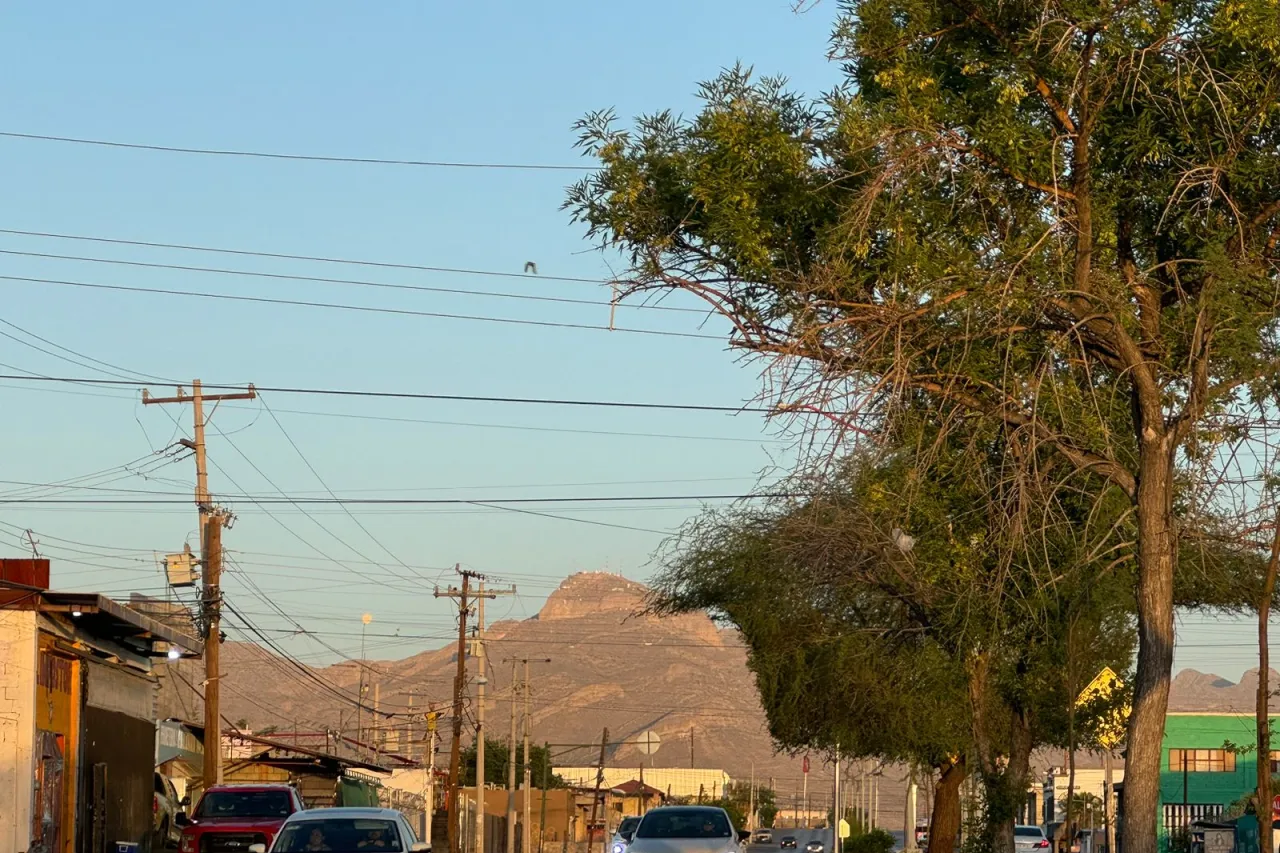 Pronostican sábado con viento y sol en Juárez