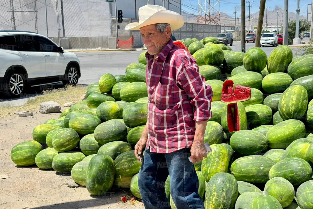 Rematan 15 toneladas de sandía por altas temperaturas