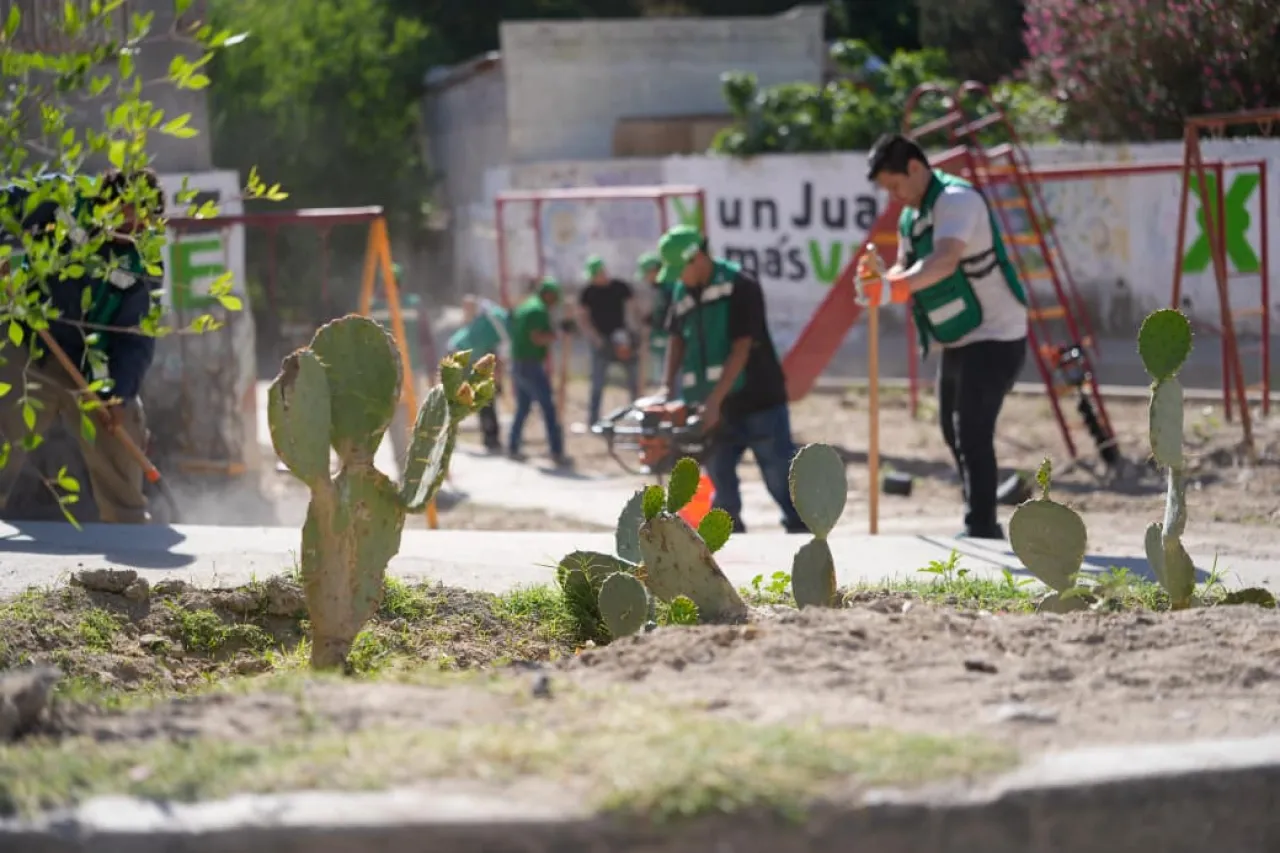 Jóvenes rehabilitan parque en colonia López Mateos