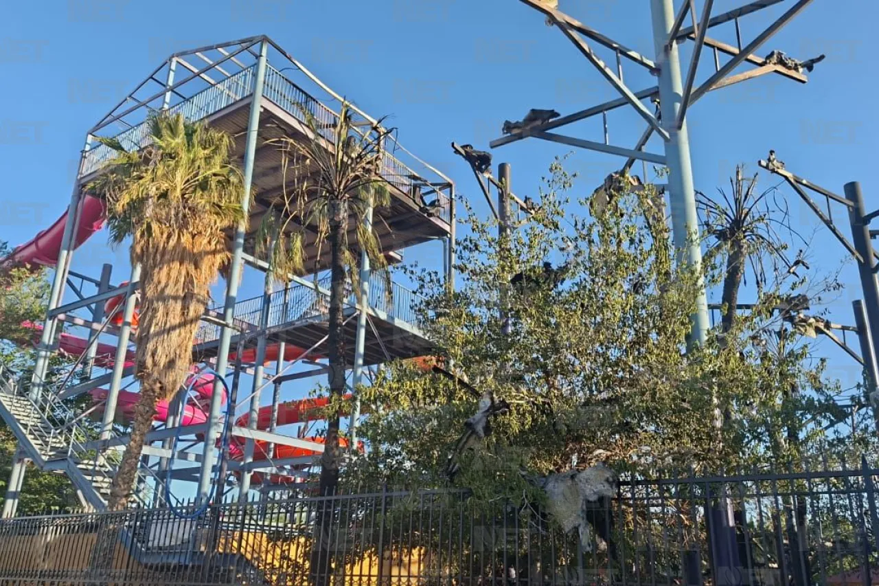 Investigan incendio en parque Las Anitas