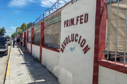 Denuncian infestación de garrapatas en Primaria Federal Revolución